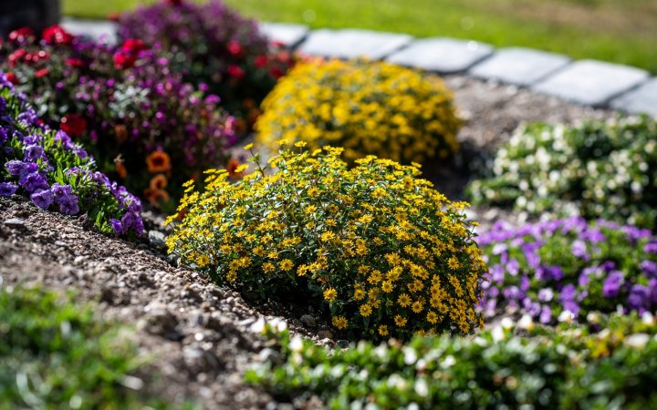 Farbenfroher Blumengarten